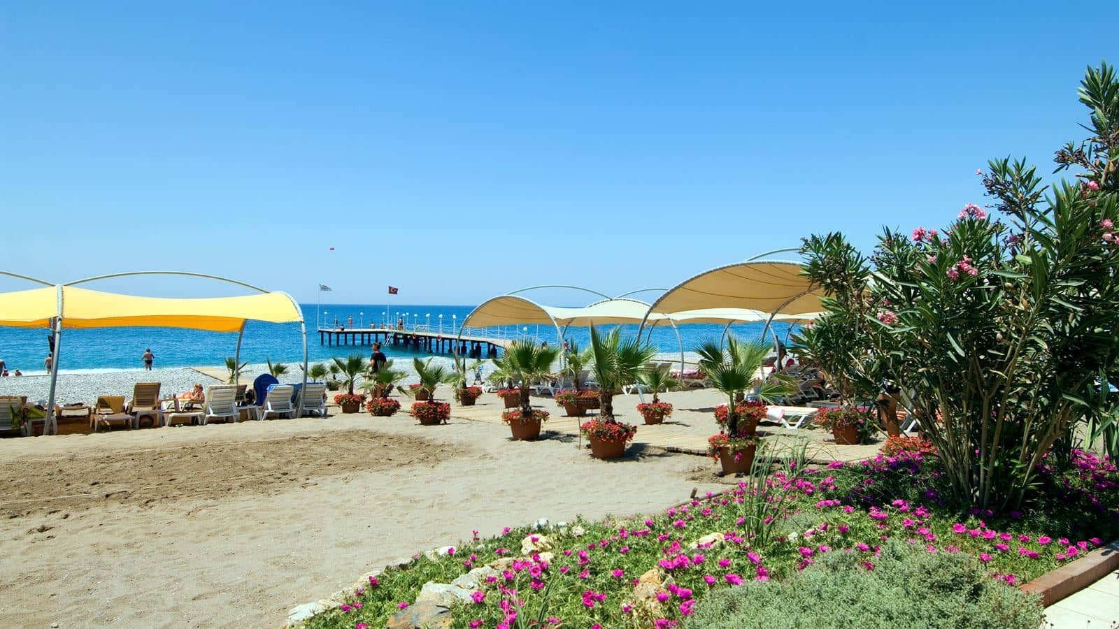beach-beach