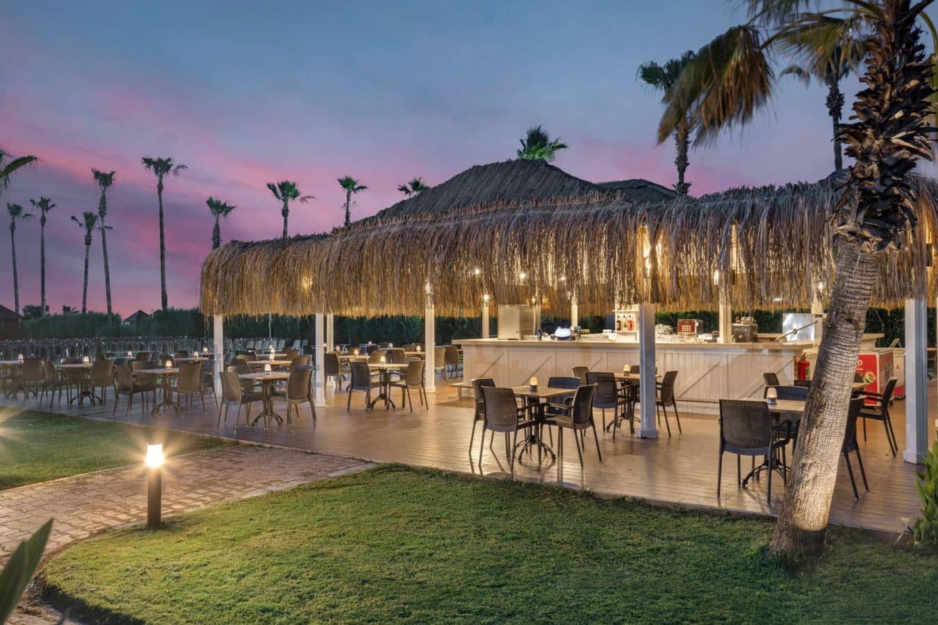 bars-palm-bar