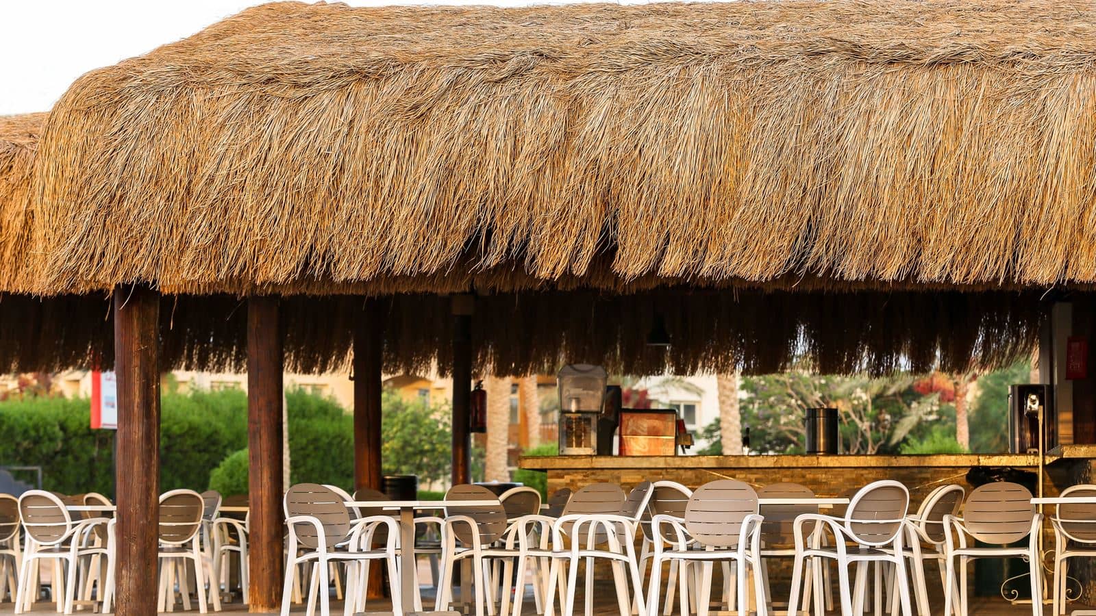 bars-tiran-bar