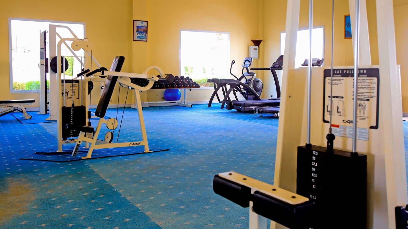 sport-sport