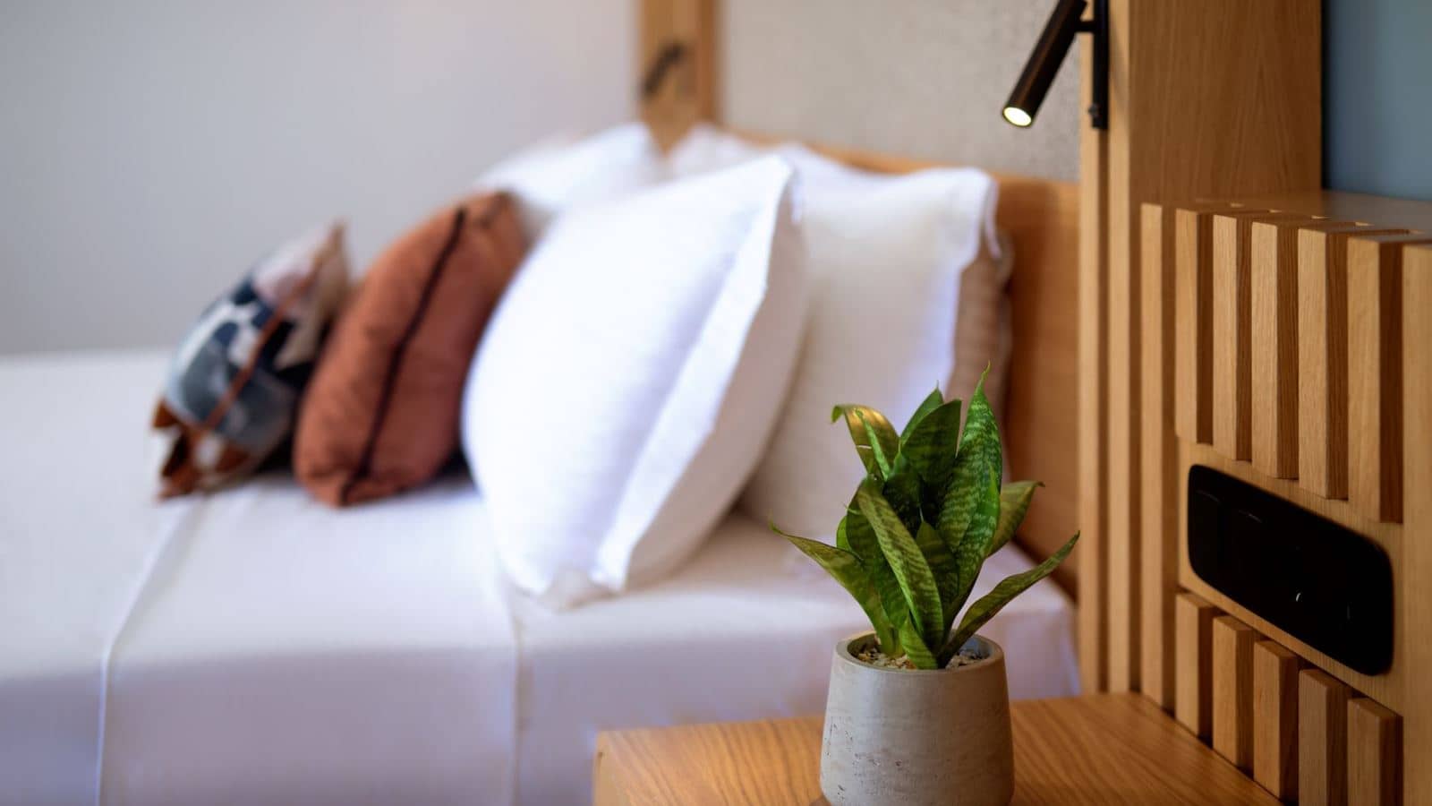 rooms-deluxe-junior-suite-beachfront-with-individual-pool