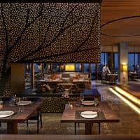 Restaurace preview