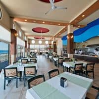 Restaurace preview