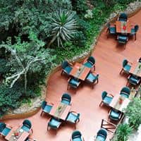 Restaurace preview