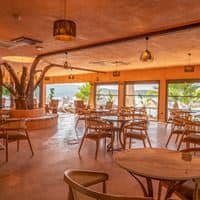 Restaurace preview
