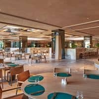Restaurace preview