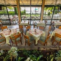 Restaurace preview