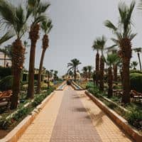 Obecné preview