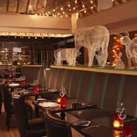 Restaurace preview