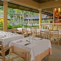 Restaurace preview