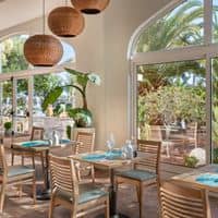 Restaurace preview