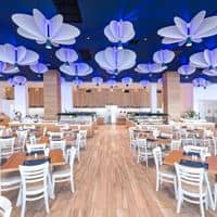 Restaurace preview
