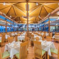 Restaurace preview