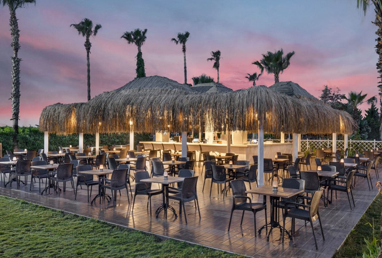 bars-palm-bar