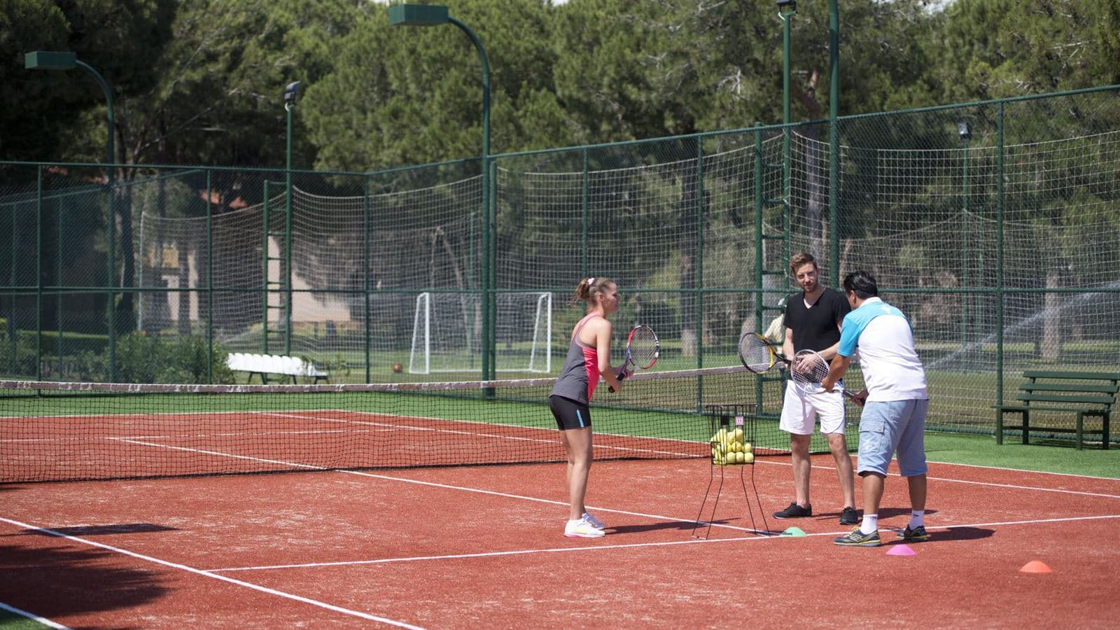 sport-sport
