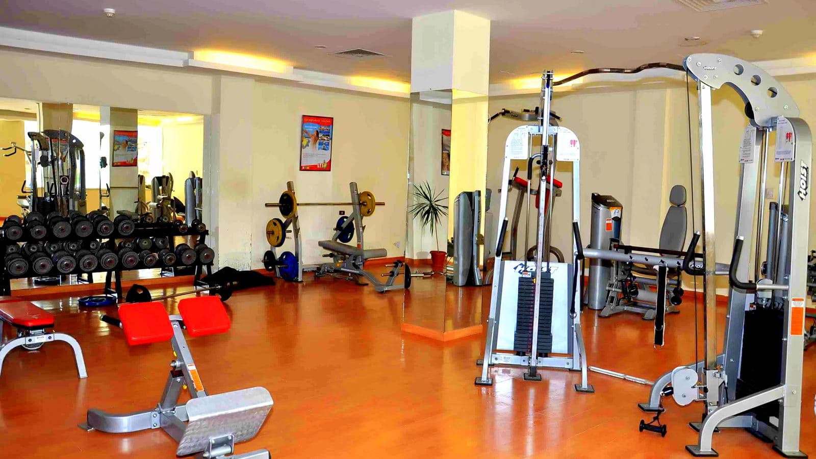 sport-sport