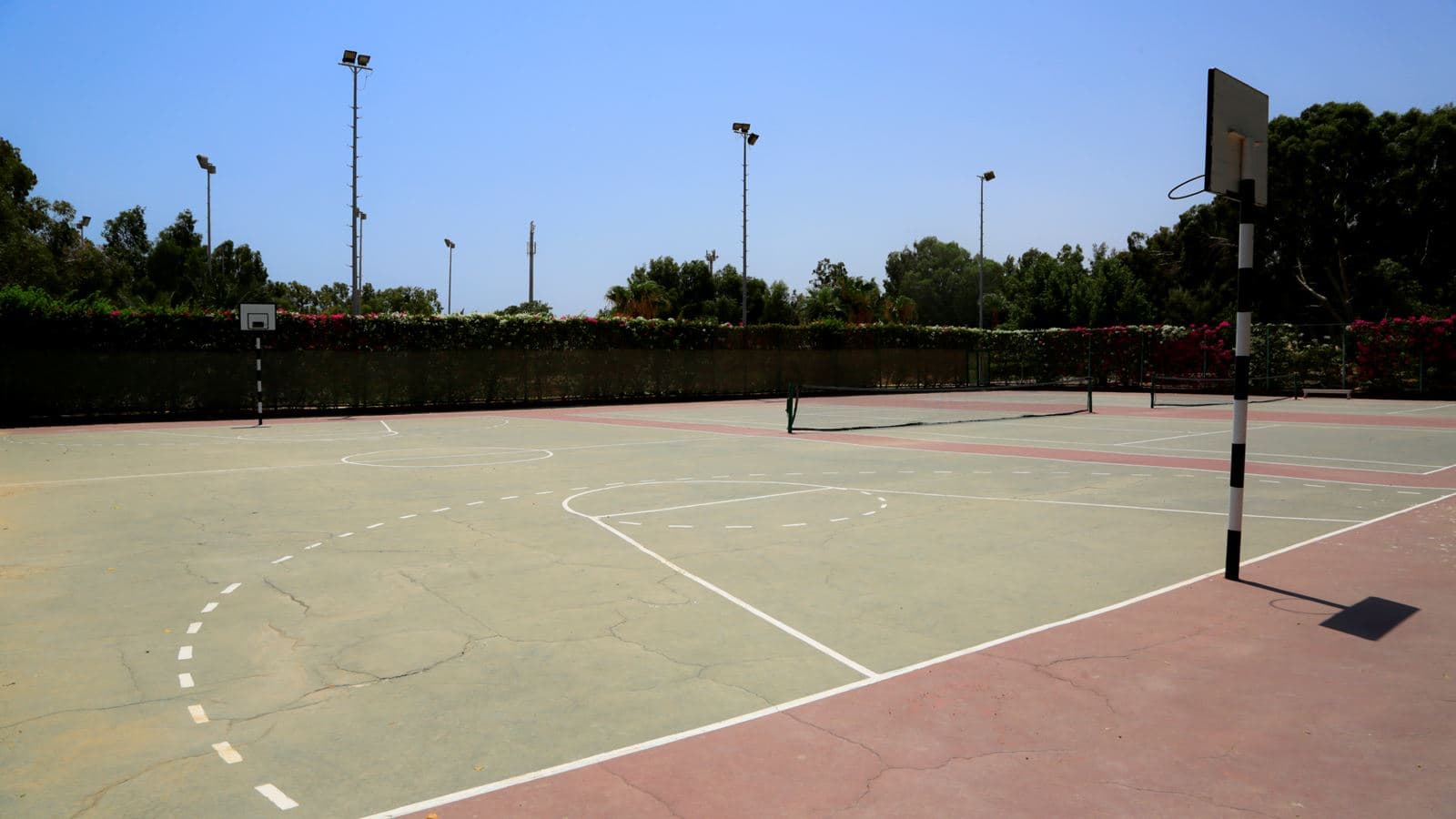 sport-sport