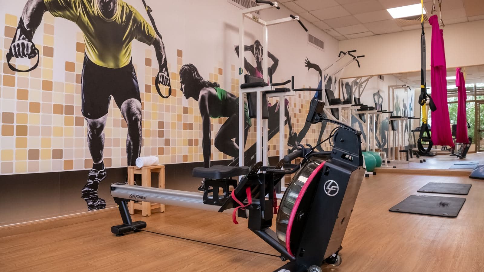 sport-sport