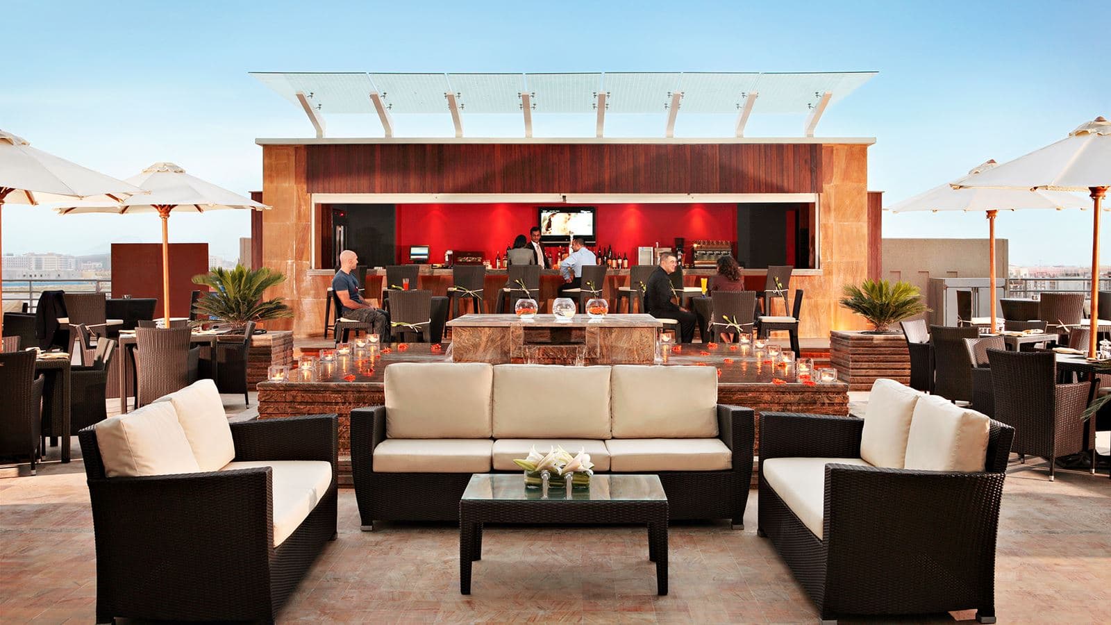 bars-the-terrace
