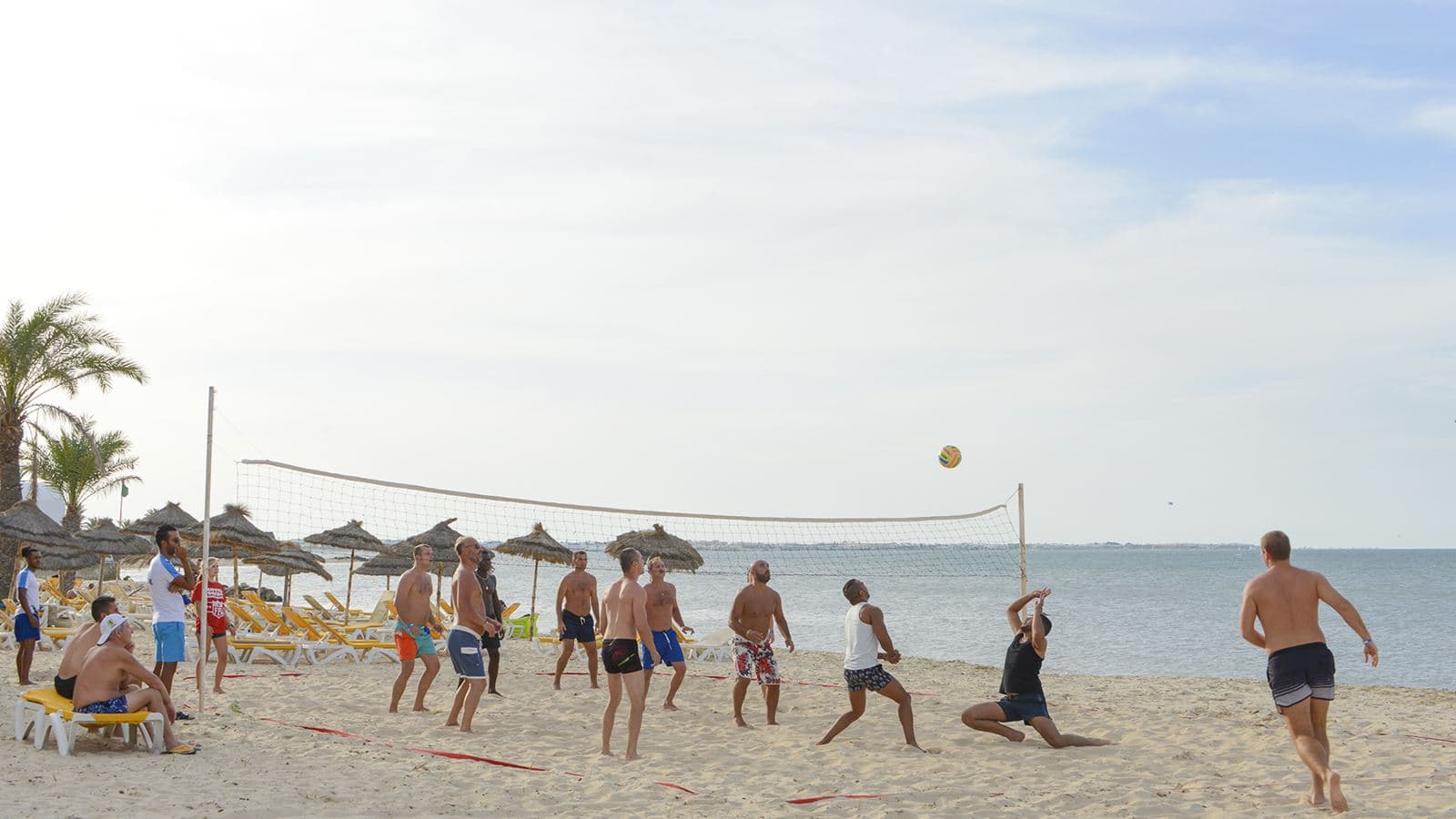 sport-sport