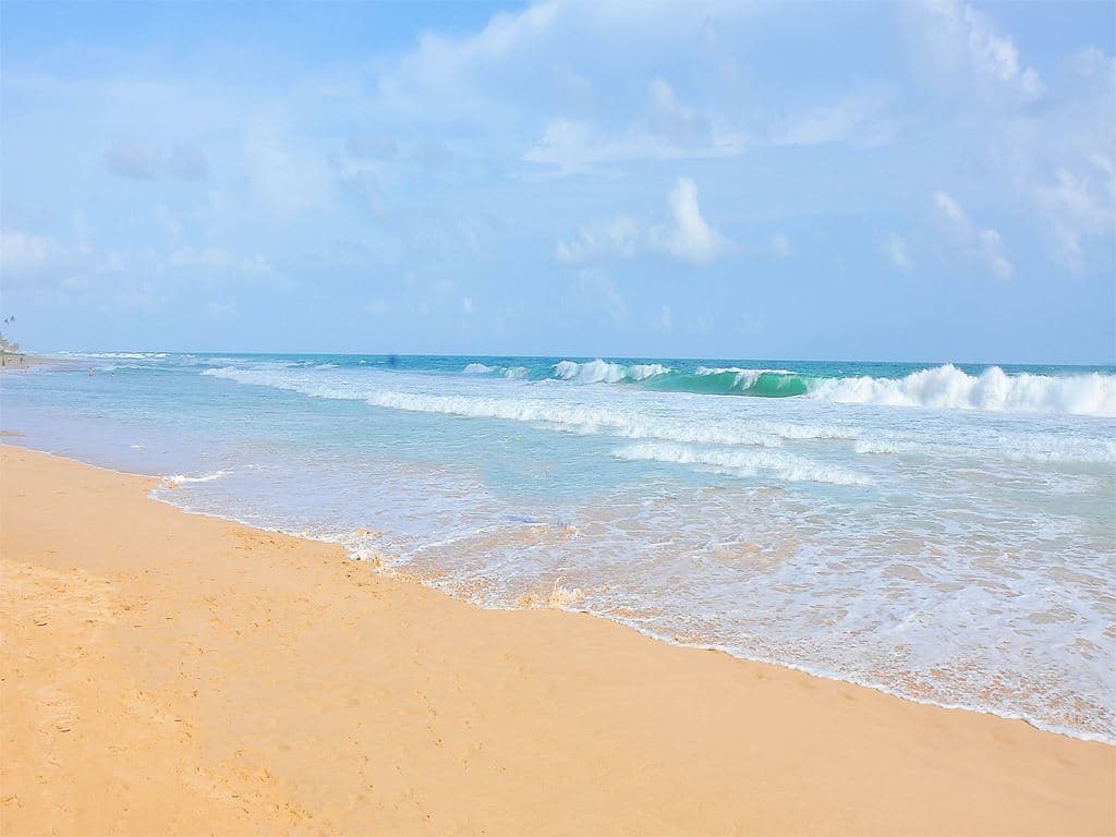 beach-beach