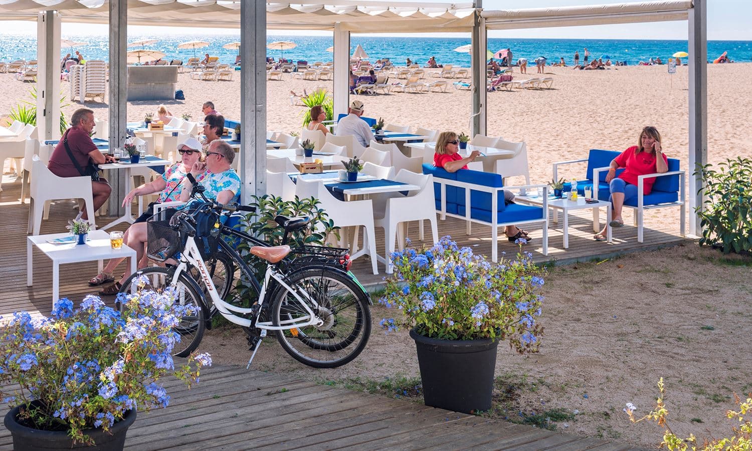 bars-lounge-beach
