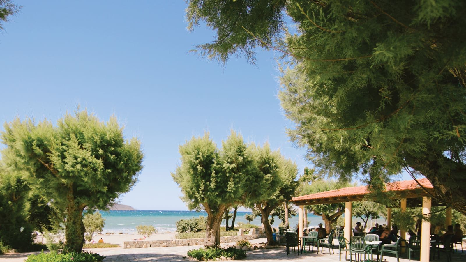 bars-beach-bar