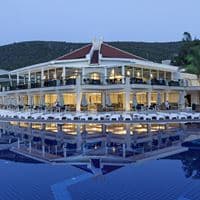 Restaurace preview