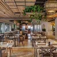 Restaurace preview