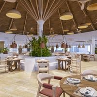 Restaurace preview