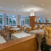 Restaurace preview