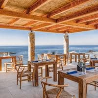 Restaurace preview