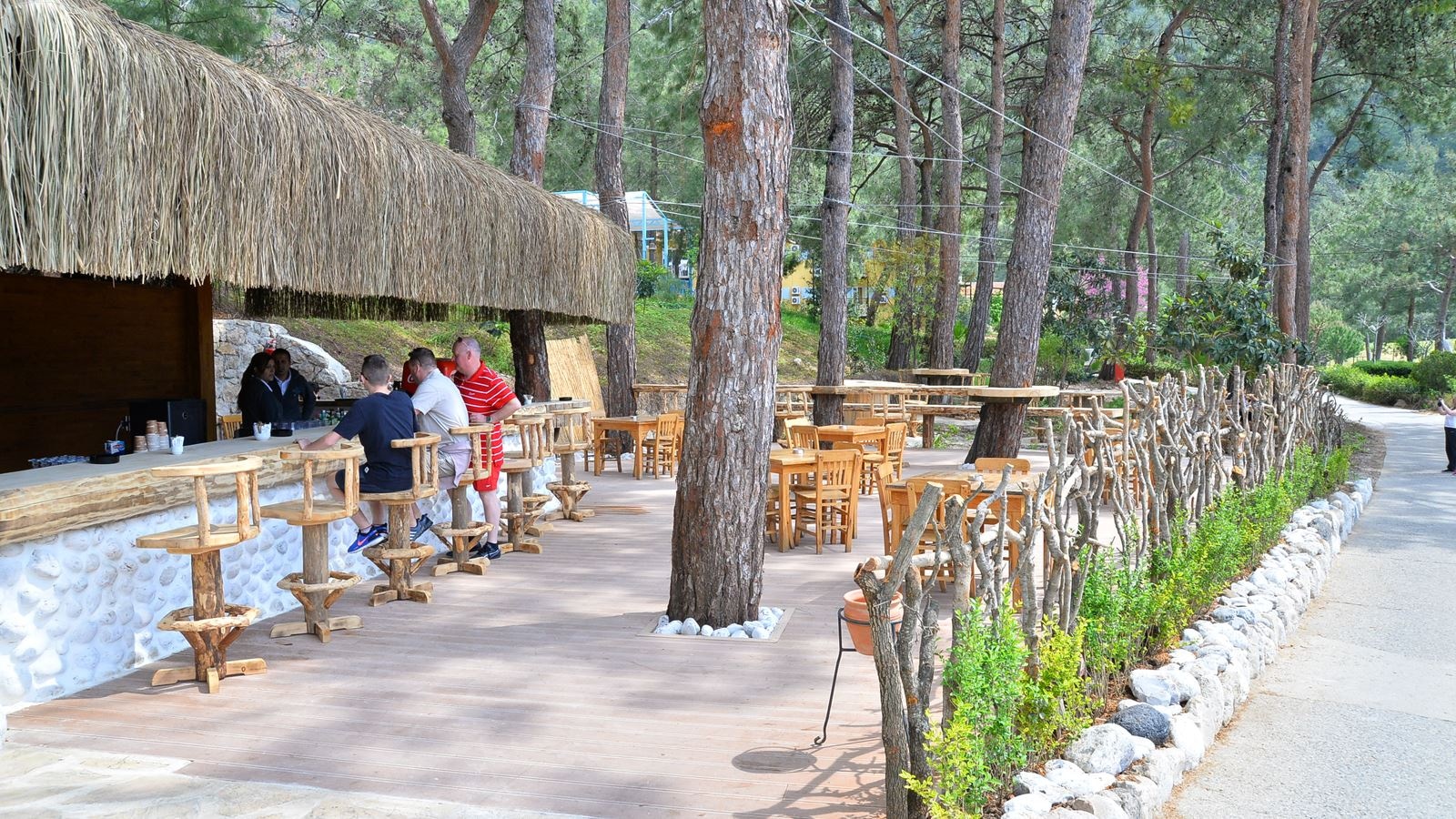bars-tlos-forest-bar
