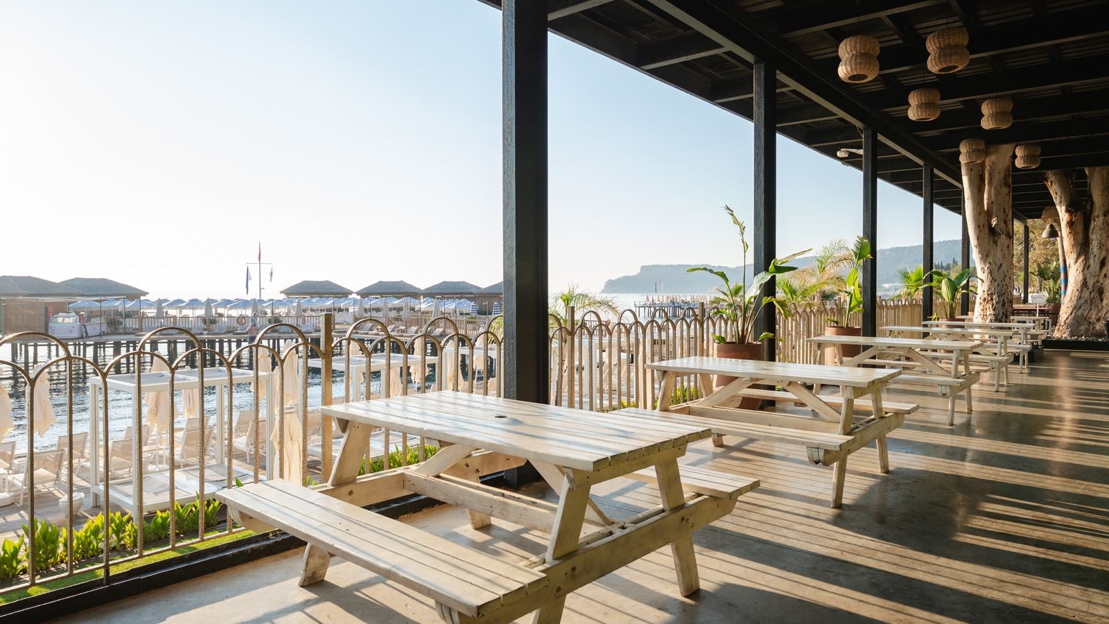 bars-the-beer-garden