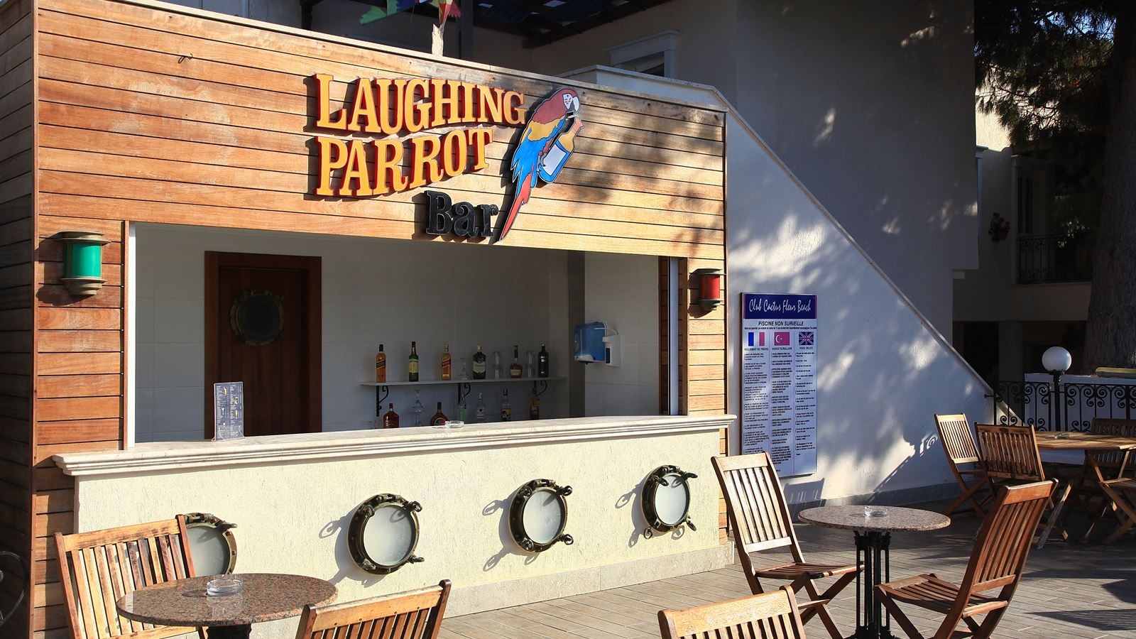 bars-laughing-parrot-bar