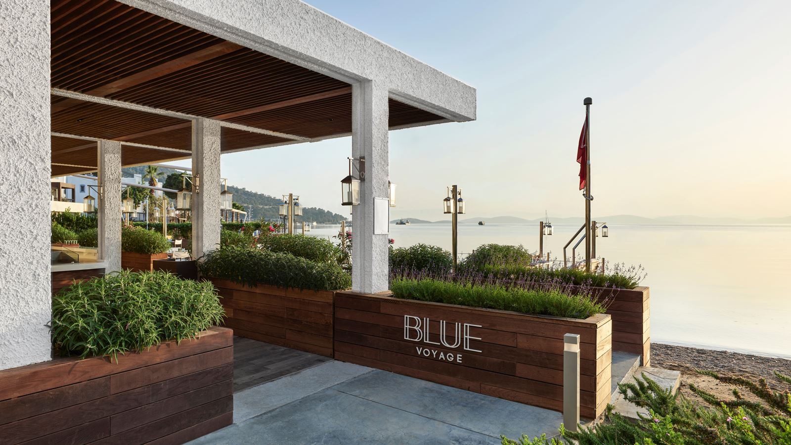 restaurants-blue-voyage-fish