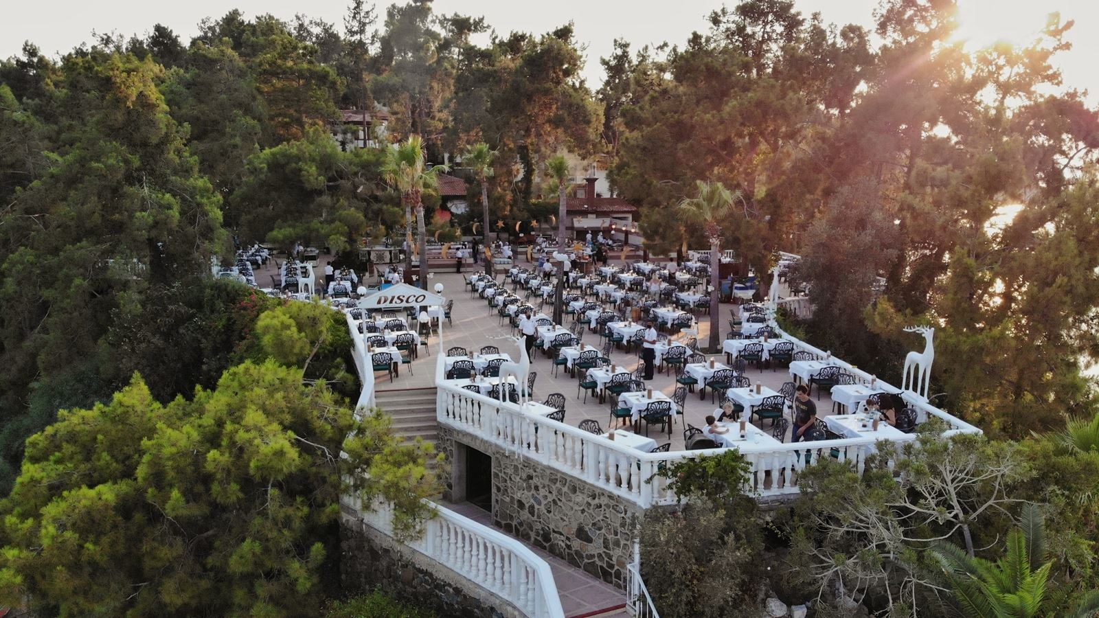 restaurants-moonlight-restaurant