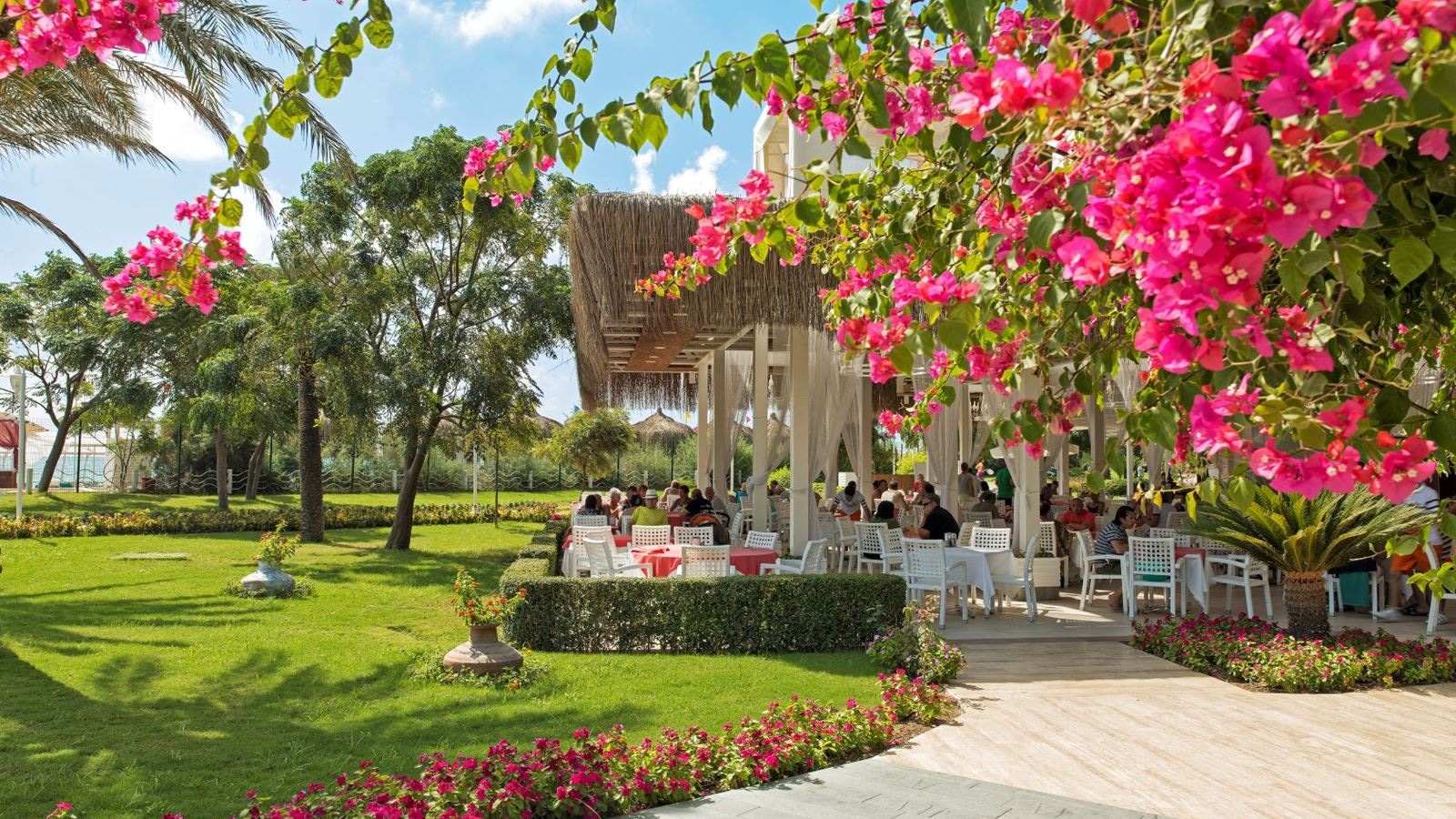 restaurants-ala-turca-snack