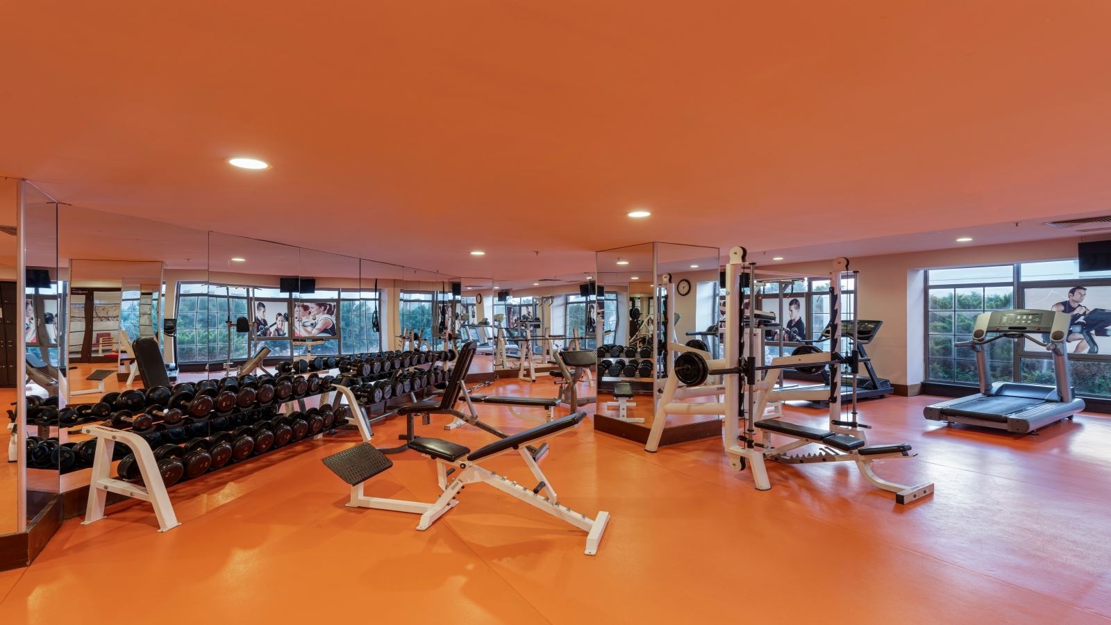 sport-sport