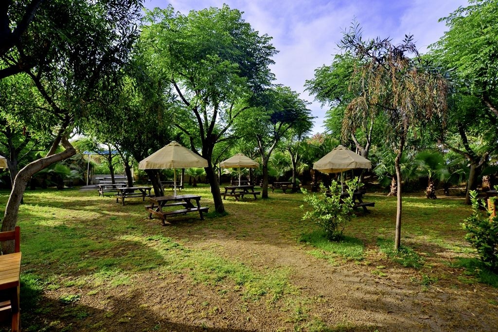 restaurants-snack-restaurant