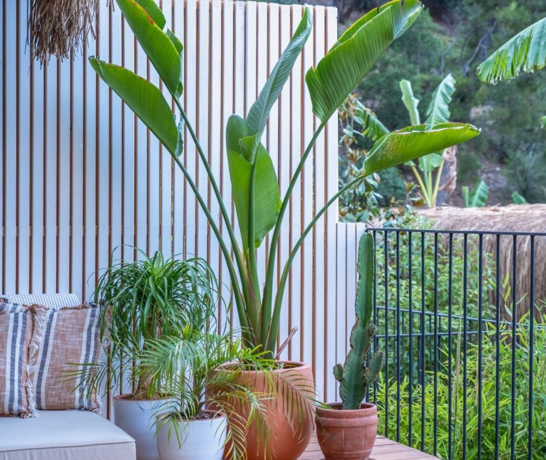 rooms-elegant-garden-tent