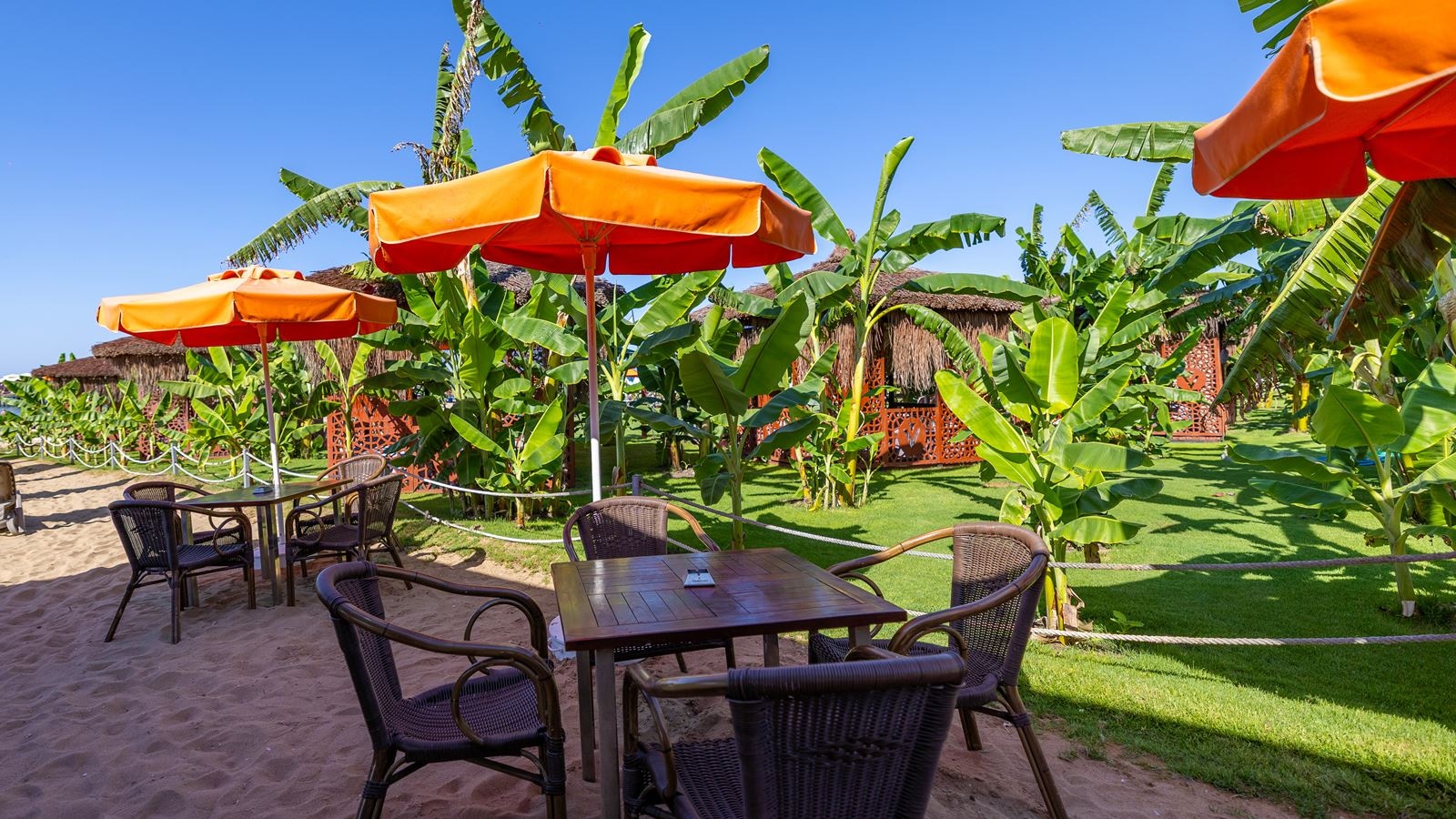 bars-polium-beach-bar