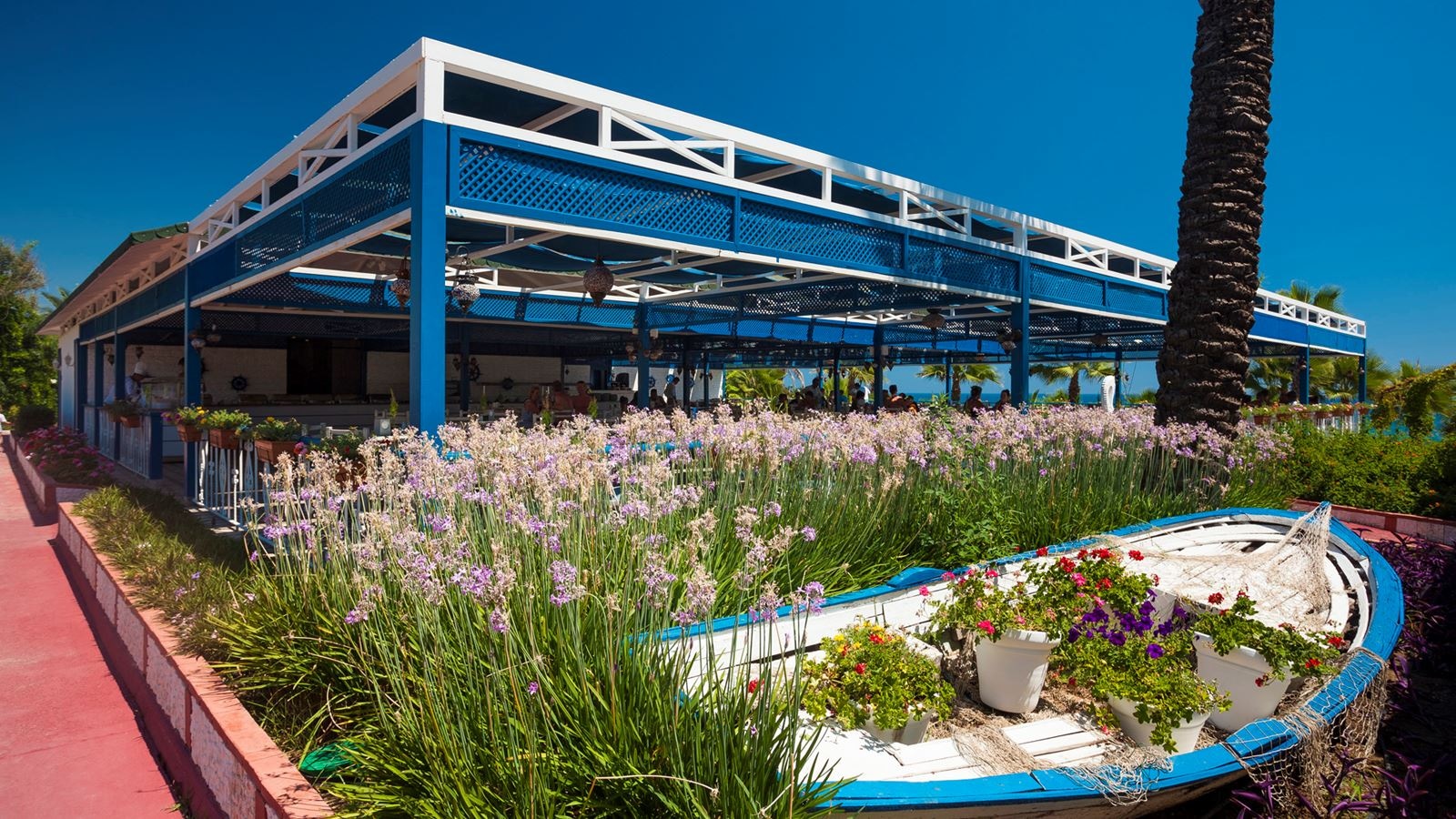 restaurants-snack-restaurant