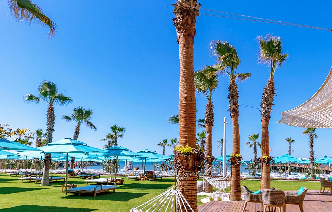 bars-palm-beach-club