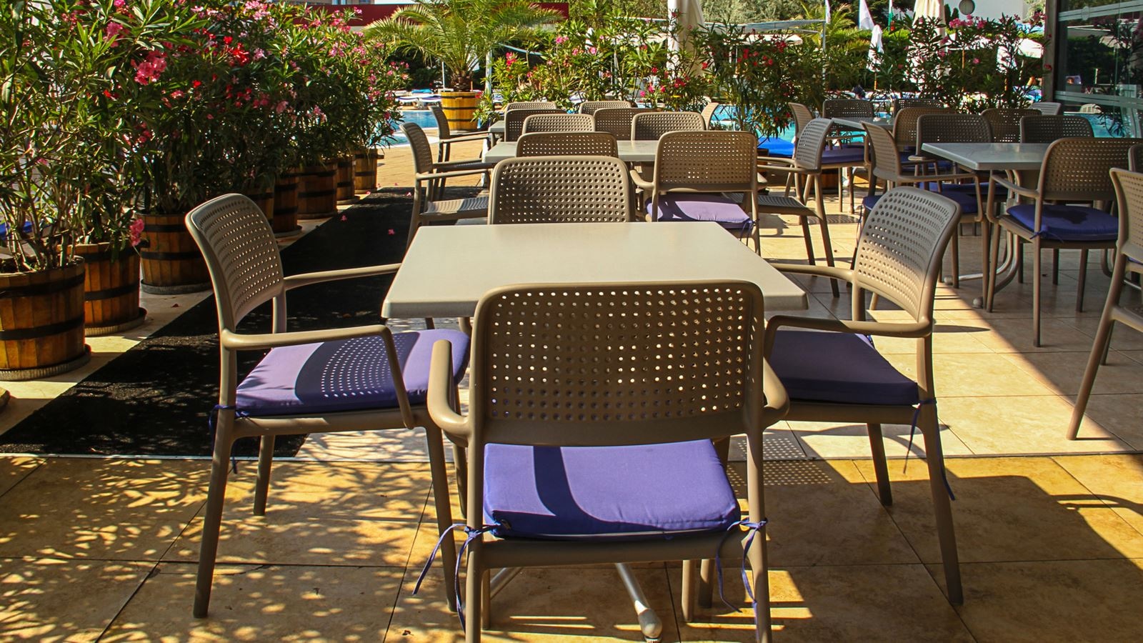 restaurants-restaurants