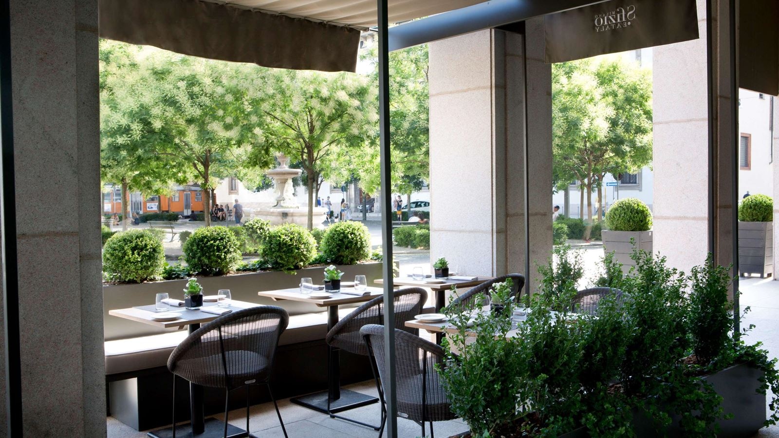 restaurants-restaurants