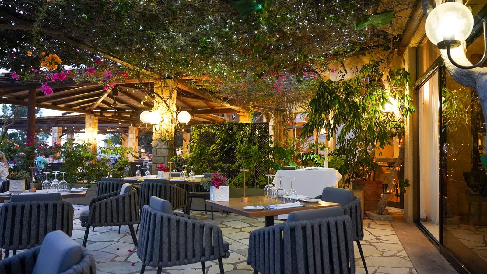 restaurants-restaurants