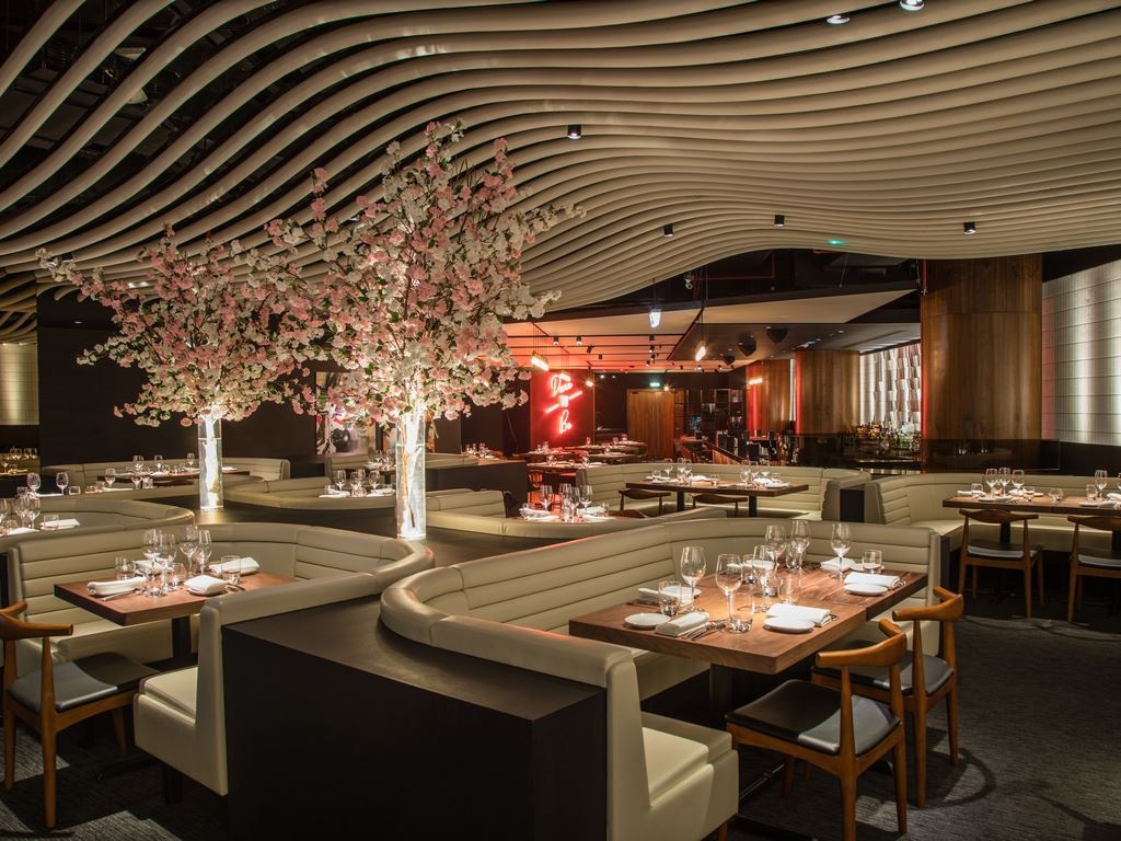 restaurants-stk