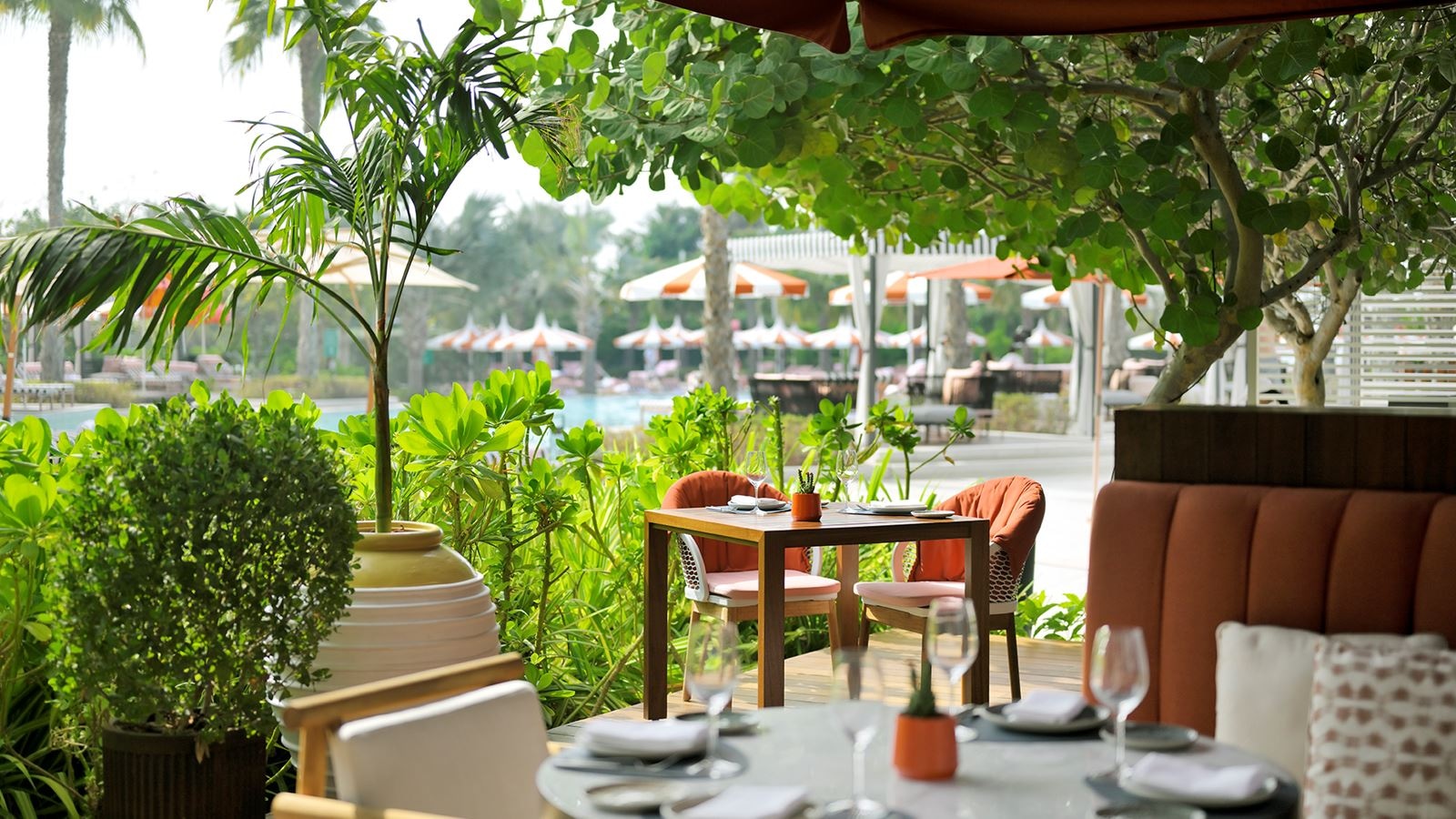 restaurants-alizée-restaurant