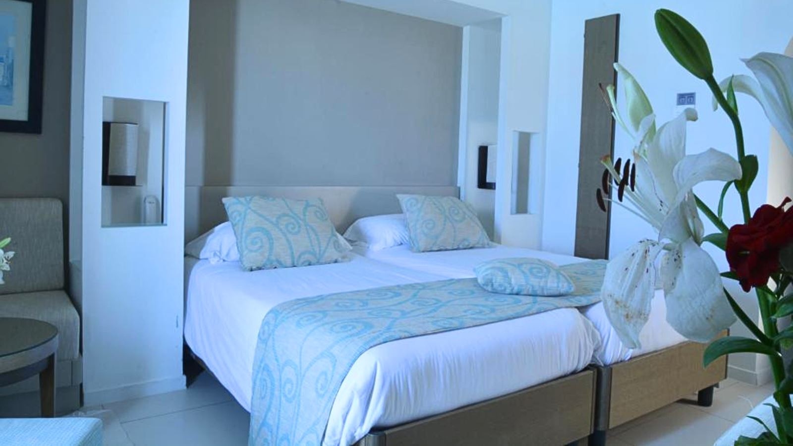 rooms-room-single-gardenview